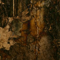 /album/fotogaleria-simbiotic/ii-001-jpg/